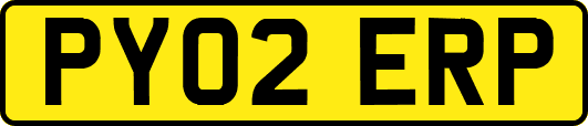 PY02ERP