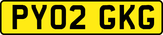 PY02GKG