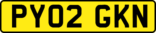 PY02GKN