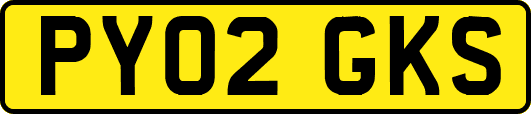 PY02GKS