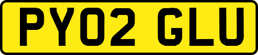PY02GLU