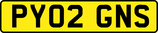 PY02GNS