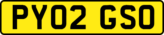 PY02GSO