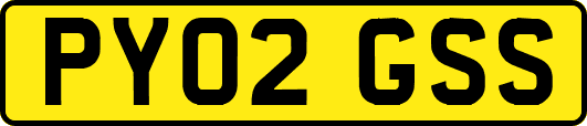 PY02GSS