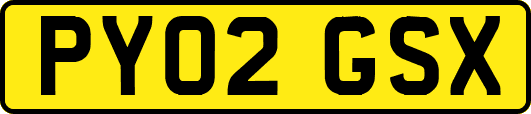 PY02GSX