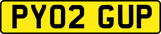 PY02GUP