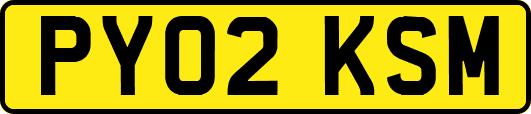 PY02KSM