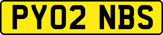 PY02NBS