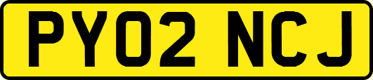 PY02NCJ