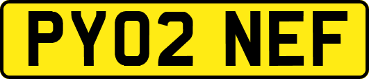 PY02NEF