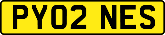 PY02NES