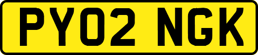 PY02NGK