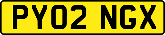 PY02NGX