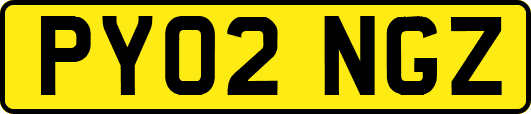 PY02NGZ
