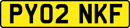 PY02NKF