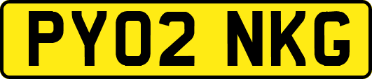 PY02NKG