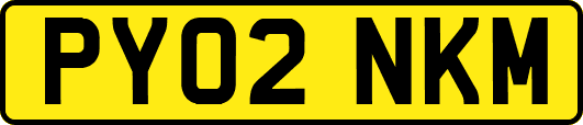 PY02NKM