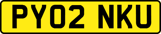 PY02NKU