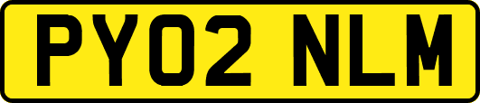 PY02NLM