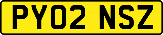 PY02NSZ