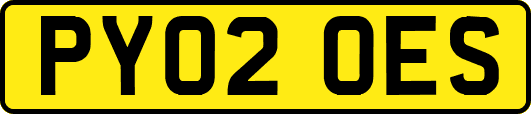 PY02OES