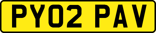 PY02PAV