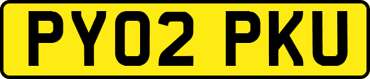 PY02PKU