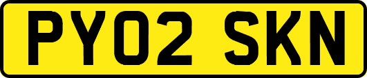 PY02SKN