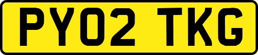PY02TKG