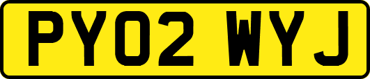 PY02WYJ