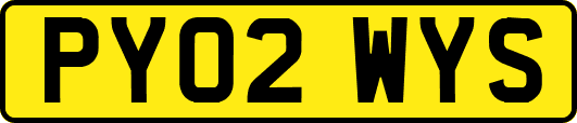 PY02WYS