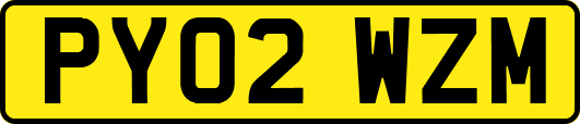 PY02WZM