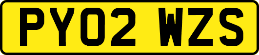 PY02WZS