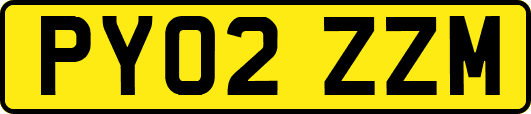 PY02ZZM