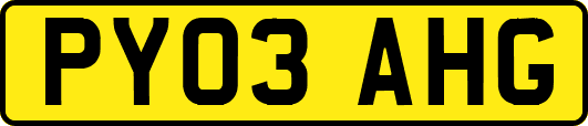 PY03AHG