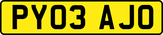 PY03AJO