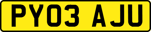 PY03AJU