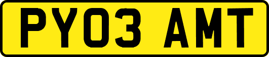PY03AMT