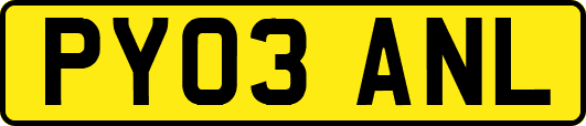 PY03ANL