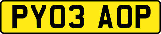 PY03AOP