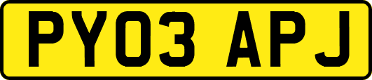 PY03APJ