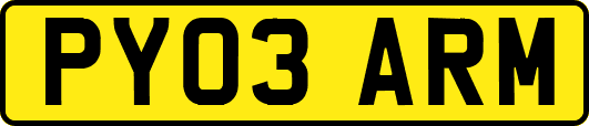 PY03ARM