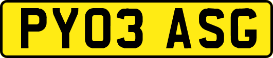 PY03ASG