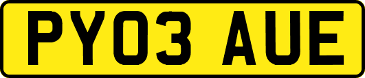 PY03AUE