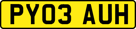 PY03AUH