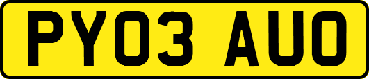 PY03AUO