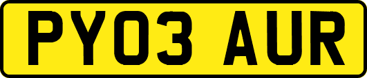 PY03AUR