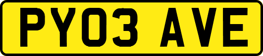 PY03AVE