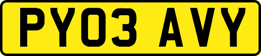 PY03AVY