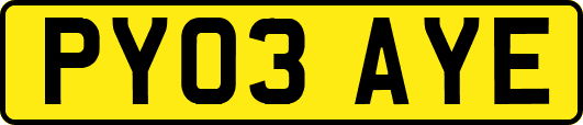 PY03AYE